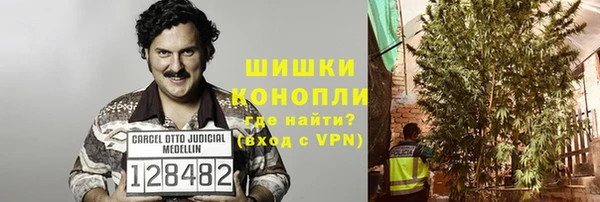 ECSTASY Новодвинск