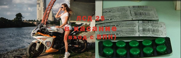 гидра Новокубанск