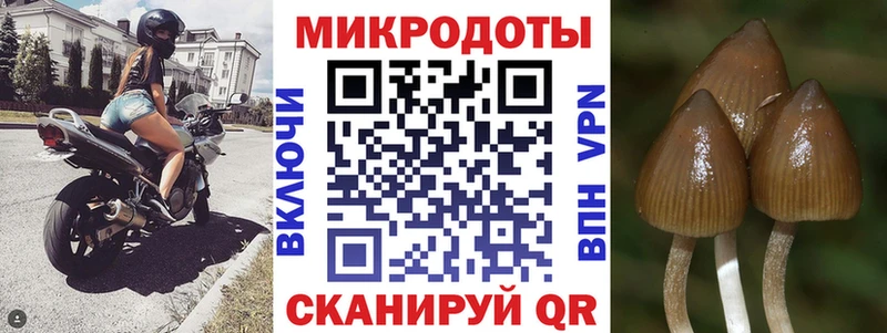 Псилоцибиновые грибы GOLDEN TEACHER Старый Крым